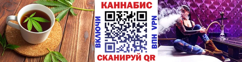 Купить где  Менделеевск  Canna-Cookies конопля 