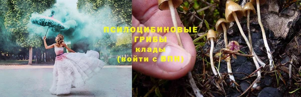 ешки Володарск