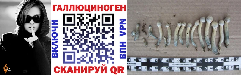Галлюциногенные грибы прущие грибы  Купить где  Менделеевск 